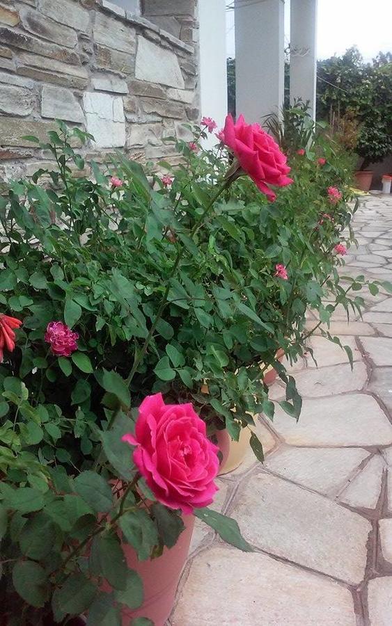 Hotel Sevilli Agios Ioannis  Luaran gambar